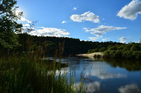 Река Свень Брянск