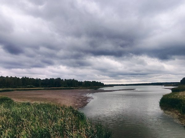 Озеро в Брасово Брянская область