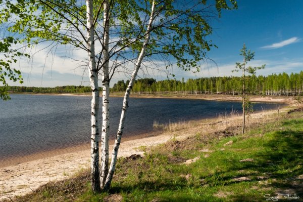 Озеро Радицкое Брянск
