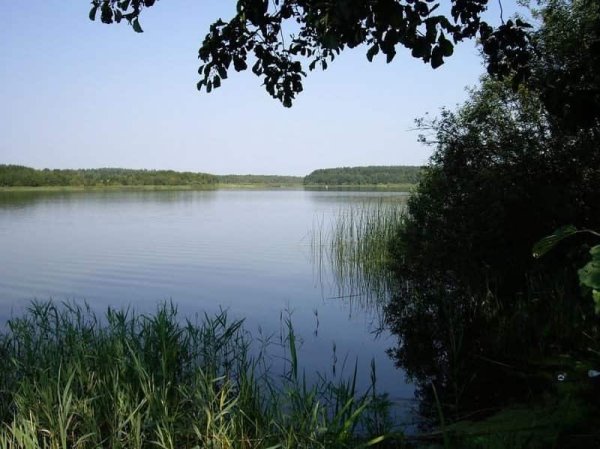 Бездонное озеро Жуковский район