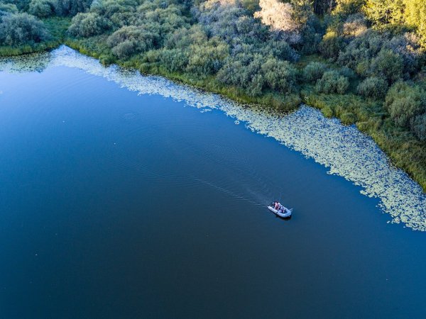 Голубое озеро Брянск