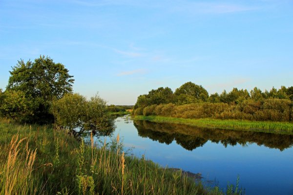 Река Ипуть Брянская область