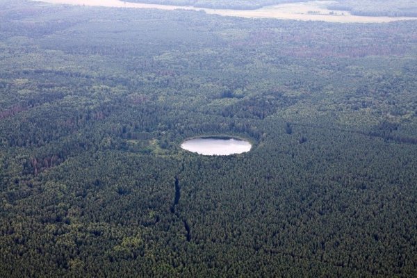Круглое озеро Дятьковский район