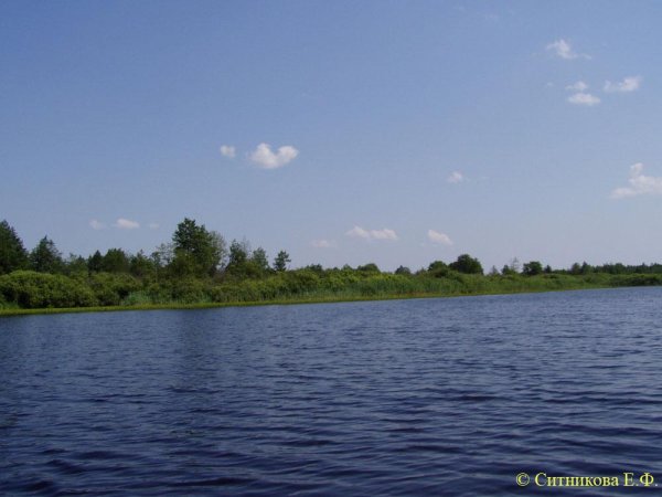 Озеро Солька Брянская область