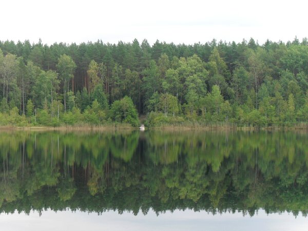 Круглое озеро Брянск