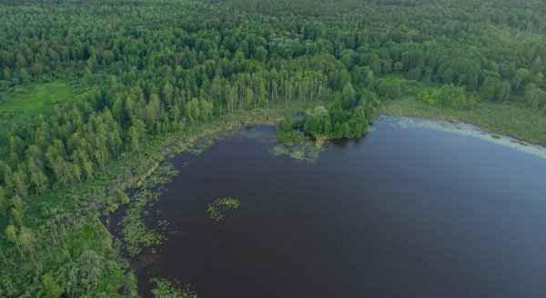 Озеро Шумовец Навлинский район