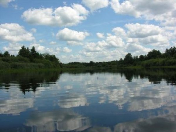 Реки и озера Брянска и Брянской области