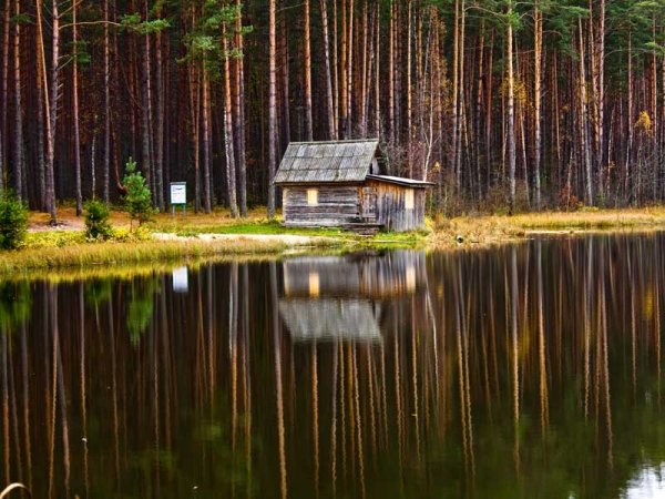 Изба на болоте Карелия