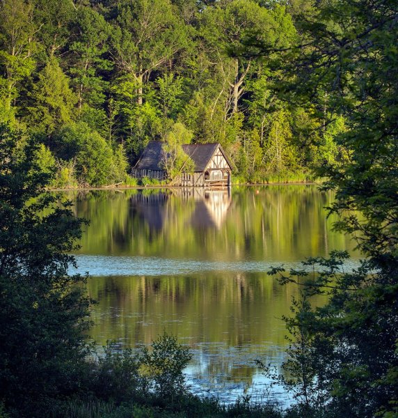 Друскининкай лес избушка