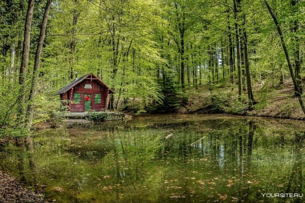 Хижина в лесу у реки