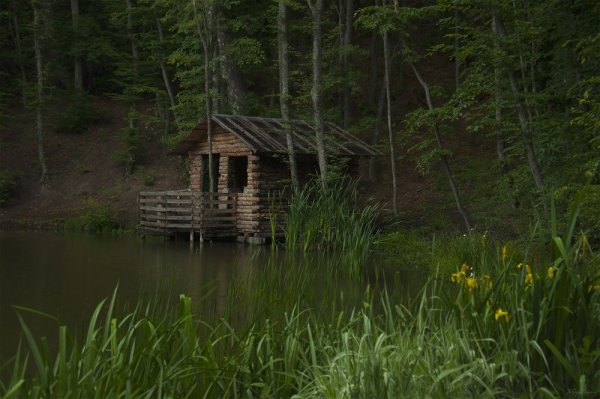 Изба в лесу