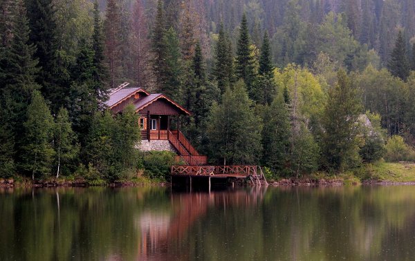 Таежная резиденция Карелия