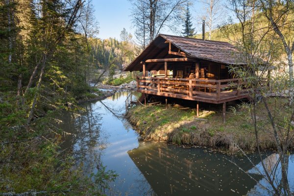 Лесная Заимка Алтай