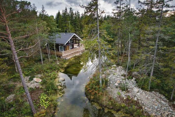 Фазенда глухомань Карелия