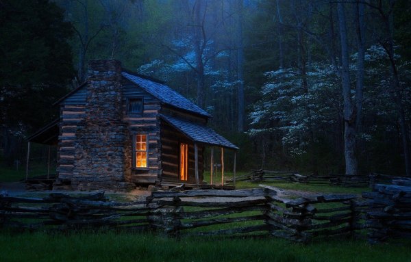 Forest House Хижина в лесу