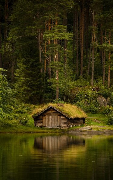 «Домик в глуши»
