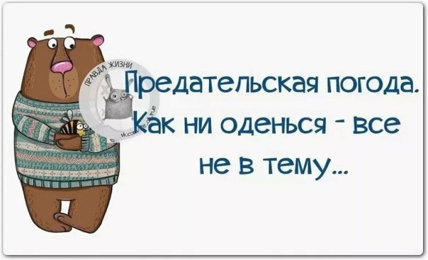 Смешные цитаты про погоду