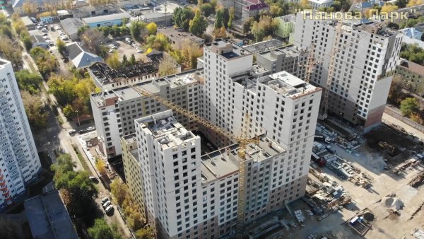 Панова парк Самара Древо