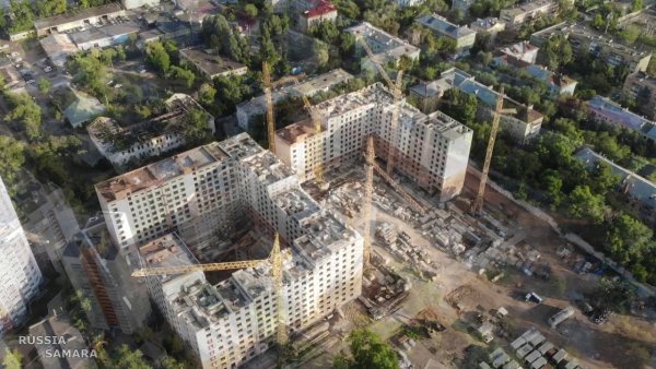 Панова парк Самара Древо
