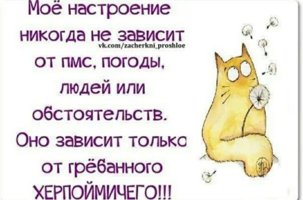Мое настроение статус