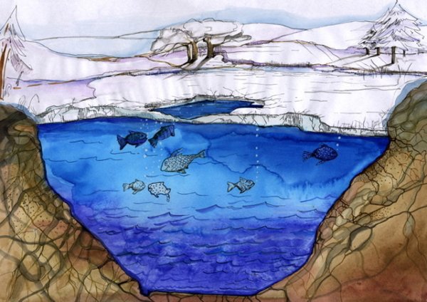 Жизнь подо льдом