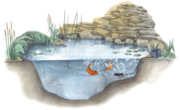 Озеро в разрезе