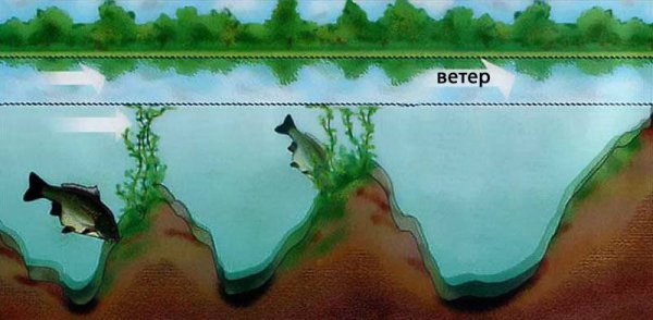 Рельеф дна пруда