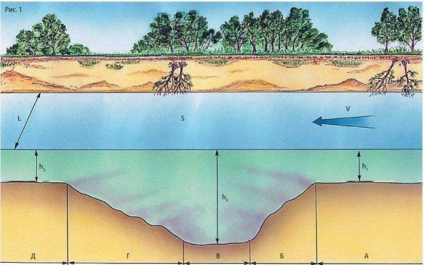 Рельеф дна реки