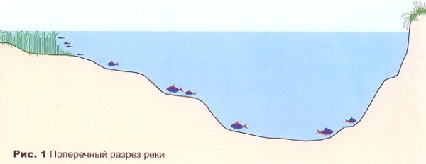 Речка в разрезе