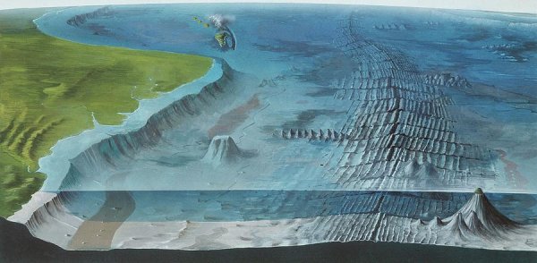 Рельеф дна мирового океана без воды