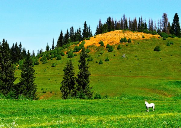 Гора Каргурезь Удмуртия