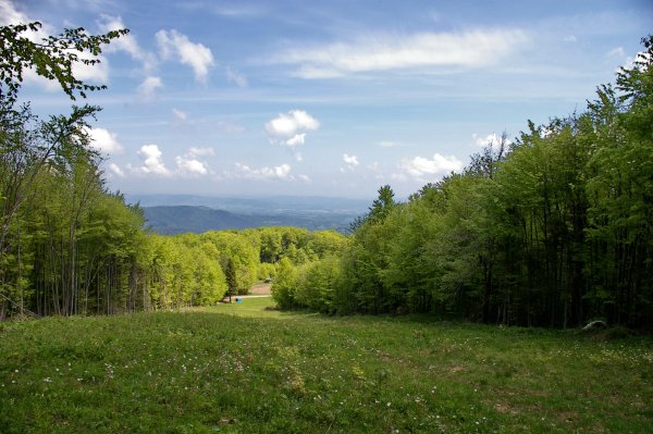 Шарканский заповедник Удмуртии