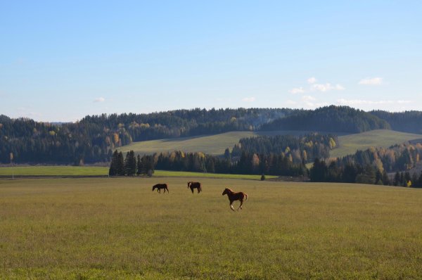Природный парк Шаркан