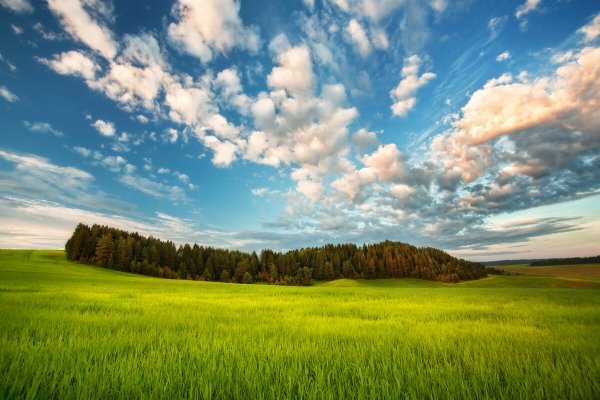 Природа Шарканского района