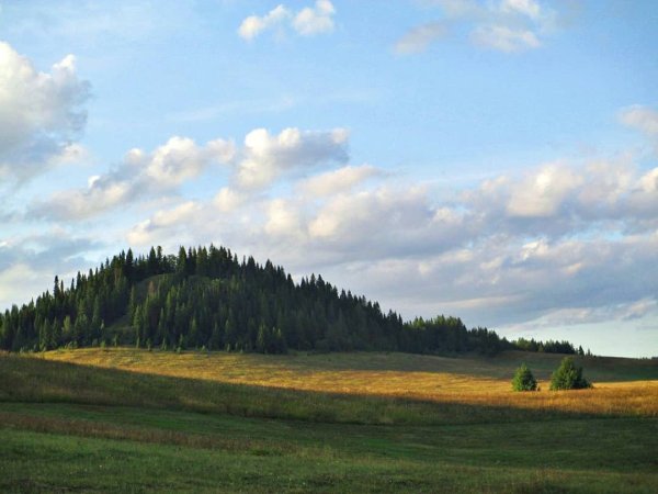 Гора Каргурезь Шарканский район