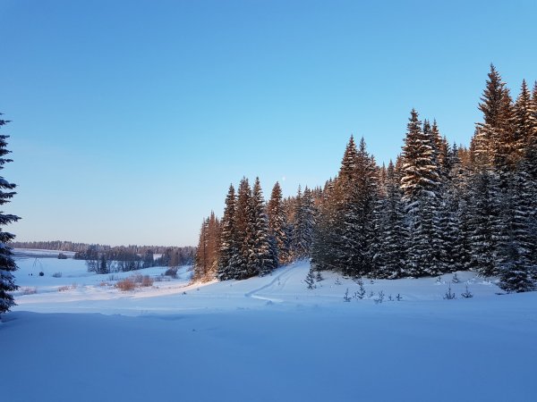 Природный парк Шаркан