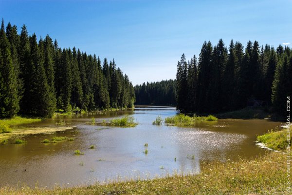 Природный парк Шаркан