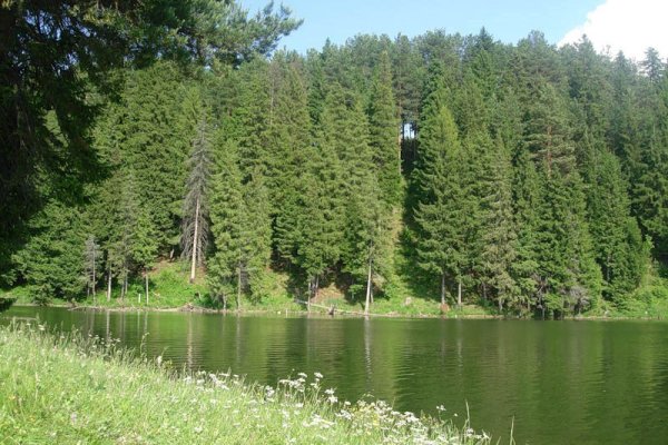 Природный парк «Шаркан» (Шарканский район);