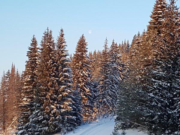 Кар гора Шаркан