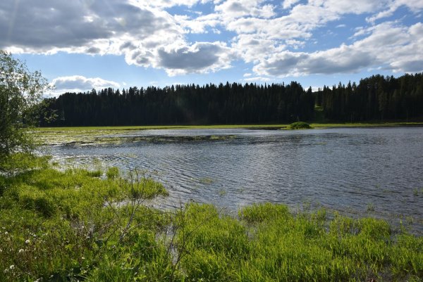 Шаркан Удмуртия