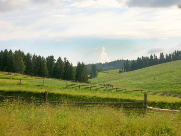 Гора Каргурезь Шарканский район