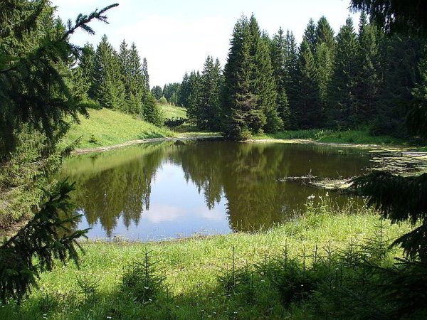 Природный парк Шаркан пруд