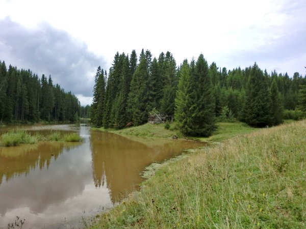 Росовский пруд Шаркан