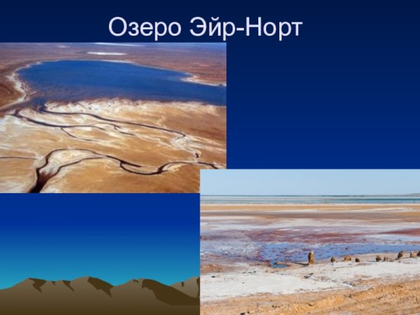 Перт оз Эйр Норт растения