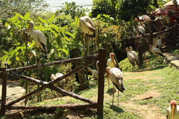 Куала Лумпур парк птиц