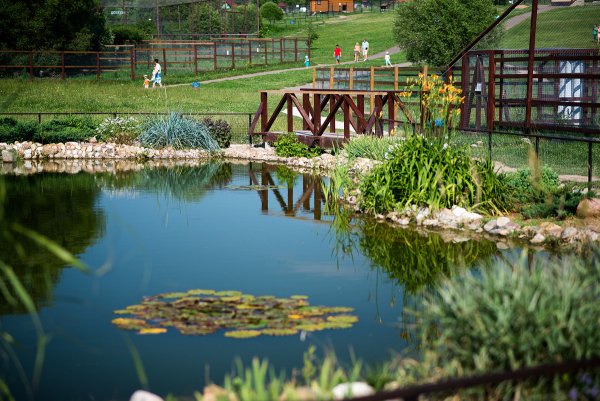 Парк воробьи Калуга