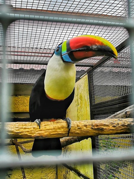 Парк воробьи Калуга