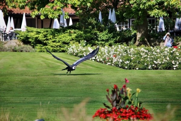 Парк птиц Адлер