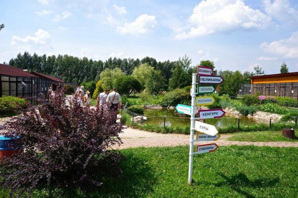 Парк птиц воробьи, село Совхоз победа