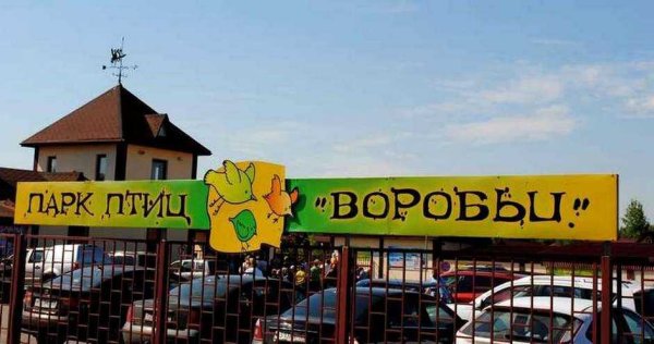 Парк воробьи Калужская область